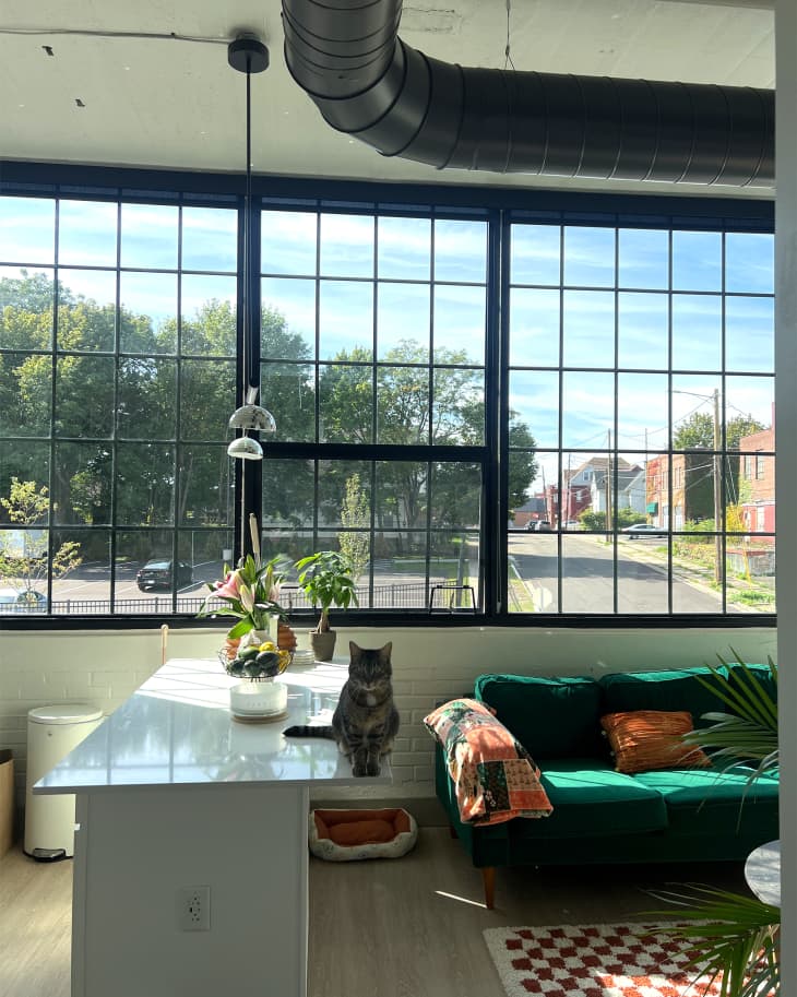 See How a Renter Warmly Decorated This Industrial Loft | Apartment Therapy - Industrial Loft Apartment Renovation Low-E Window Installation